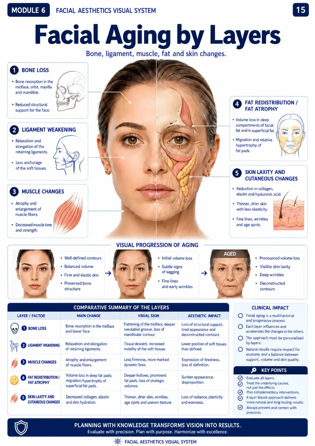 Facial Aging Layer by Layer